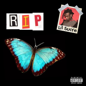 刘海瑞和苏晴送手机
